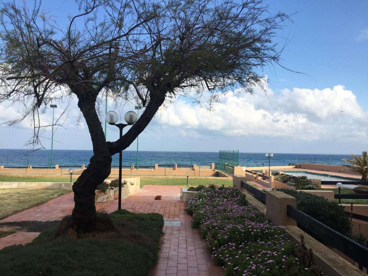 カステルサルドSardinia Re - Casa Stella Del Marアパートメント エクステリア 写真